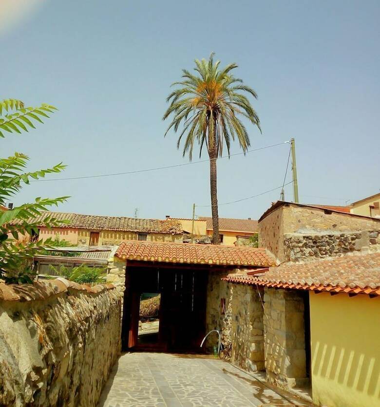 B&B Casa Susanna