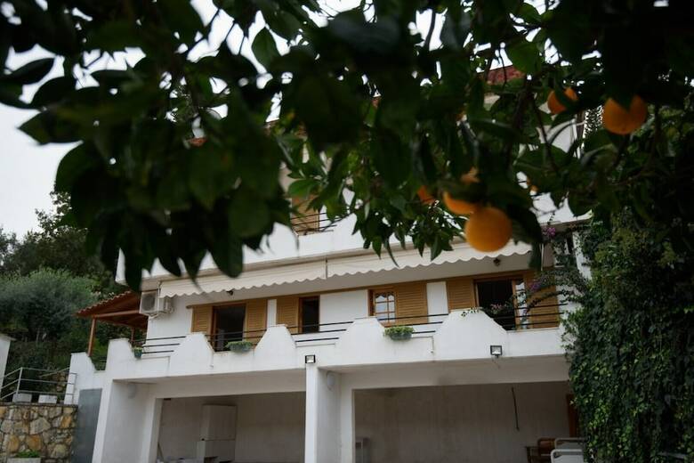Apartamentos Sivotahomes-green