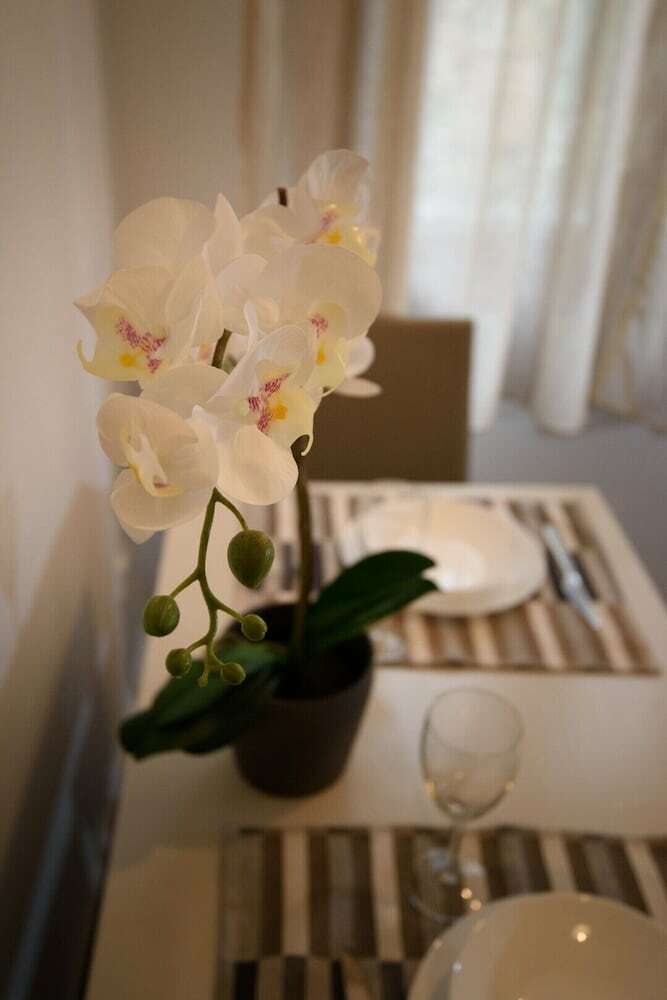 Apartamentos Sivotahomes-green