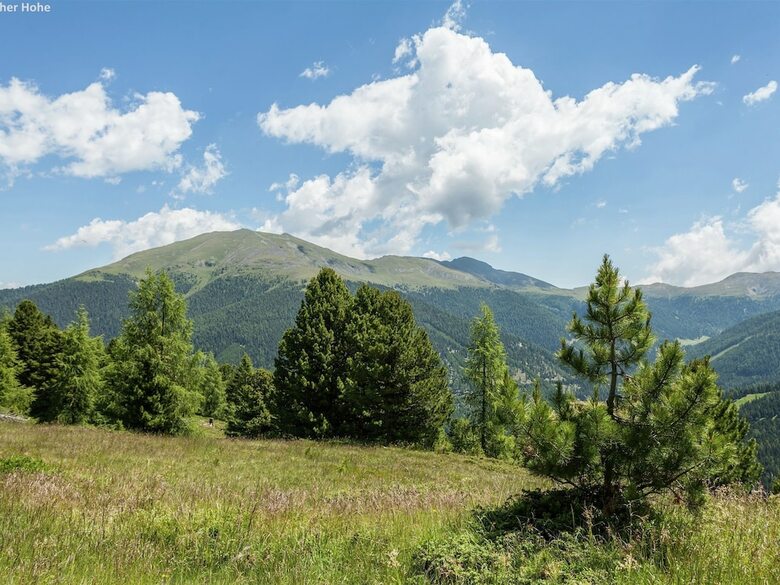 Quiet Chalet In Turracherh�he With Sauna And Jacuzzi