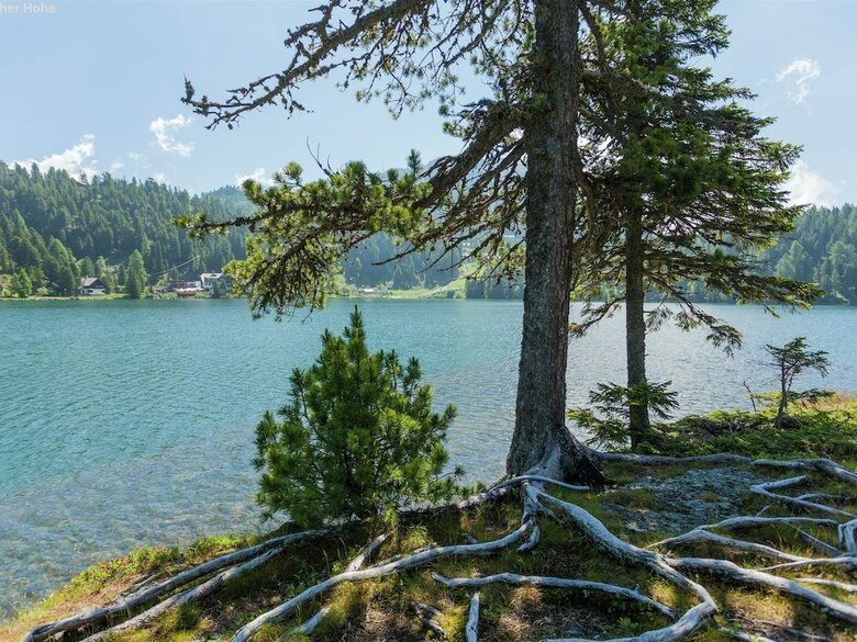 Quiet Chalet In Turracherh�he With Sauna And Jacuzzi