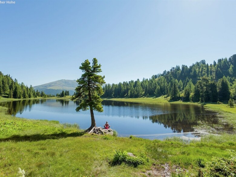 Quiet Chalet In Turracherh�he With Sauna And Jacuzzi
