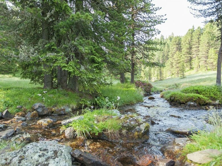Quiet Chalet In Turracherh�he With Sauna And Jacuzzi