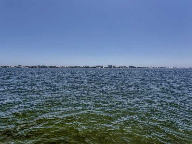 Sunny South By Meyer Vacation Rentals