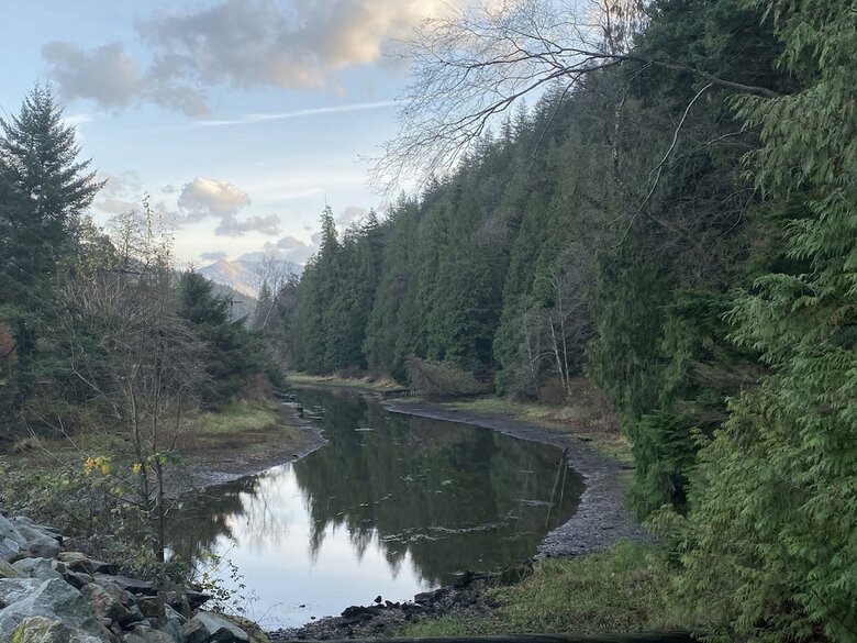 Harrison Lake Cottages
