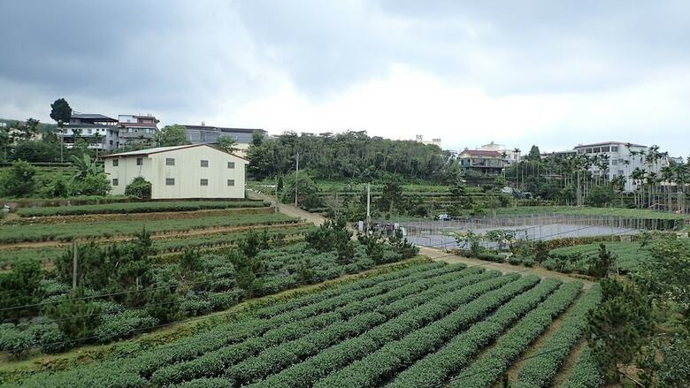 Pu Su Bed And Breakfast