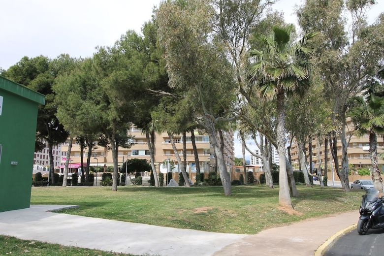 Apartamentos Acapulco IV - 7