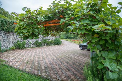 Apartments Frlan