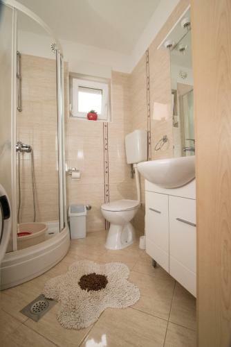 Apartment Alba