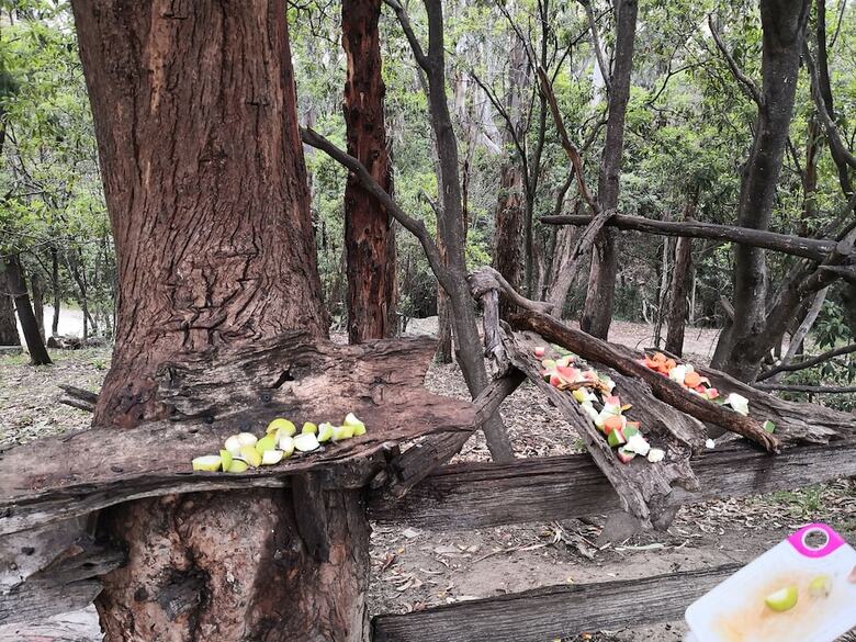 Kalimna Woods Cottages