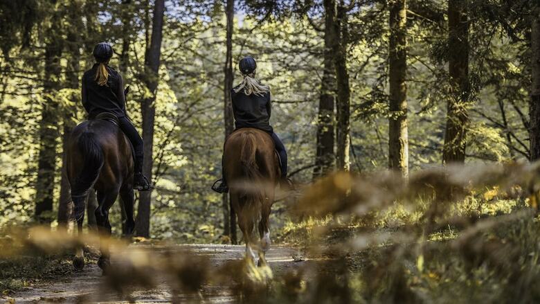 Bed & Breakfast Maison D'h�tes Les Roses