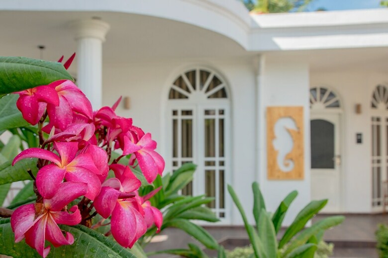 Sea Horse Hotel And Spa