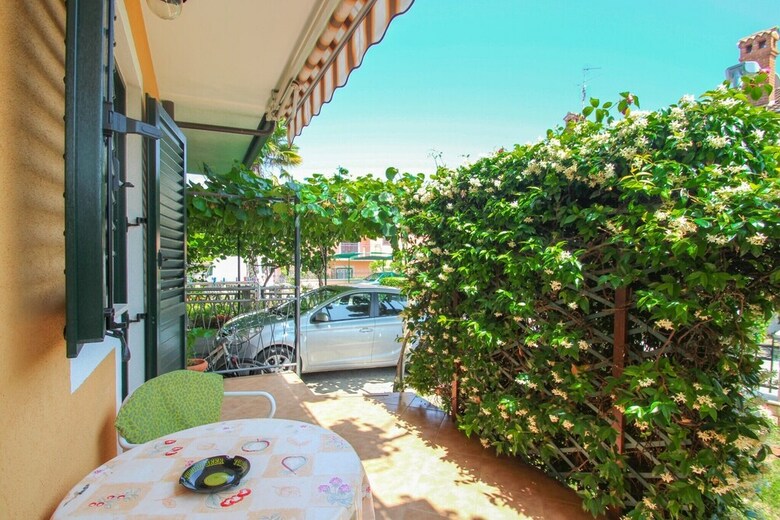 Apartamentos Alma