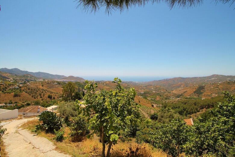 1075 Villa Rosa