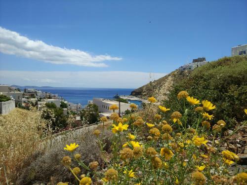 Apartamentos Papillon
