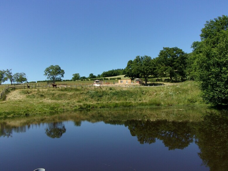Domaine De La For�t