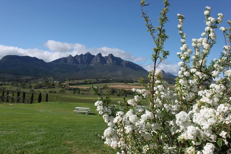 Hotel Val Du Charron Guest House & Wine Estate