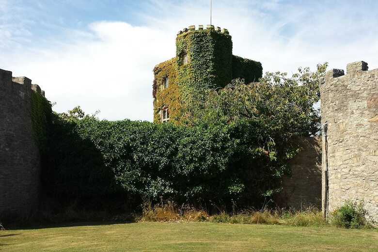 Residencia Walton Castle
