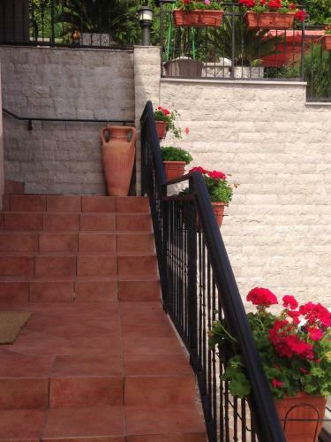 Apartamentos Vunic
