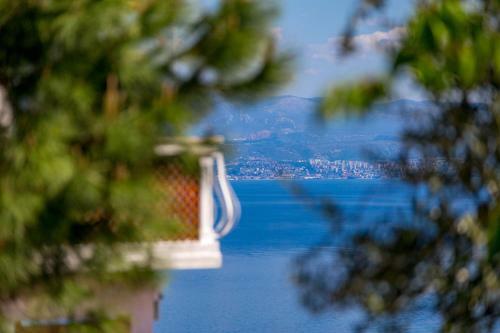 Apartments Davor