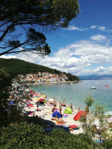 Hostal Apartments Tonka Frankovi?