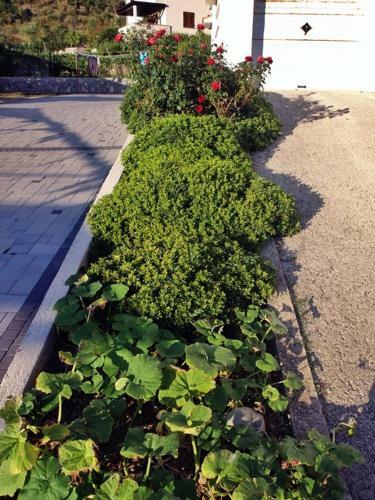 Hostal Pension Antonia