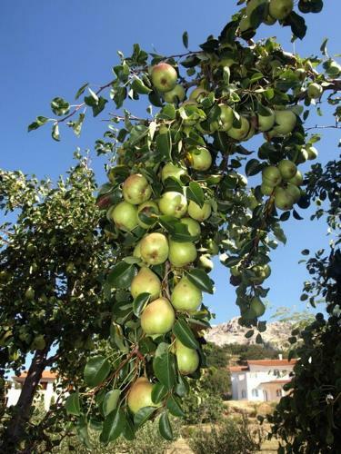 Hostal Pension Antonia