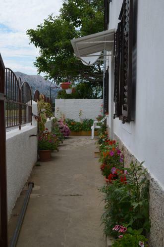Apartments Drita