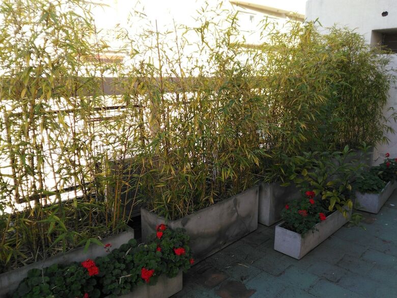 Hotel Ayb Internacional