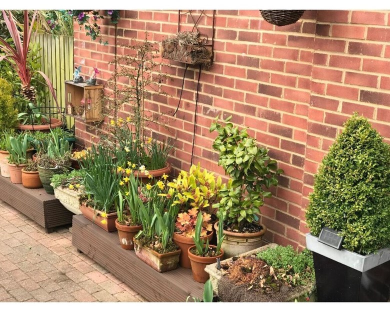 Queens Road Rental - Winchester Accommodation