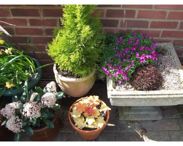 Queens Road Rental - Winchester Accommodation