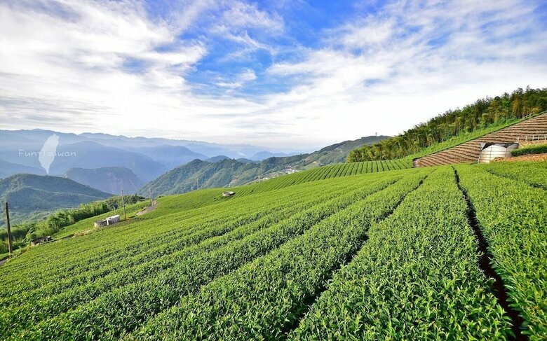 Bed & Breakfast A-li A-li Homestay