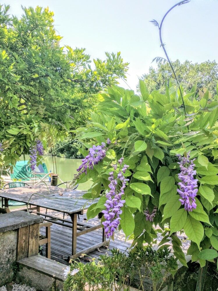Bed & Breakfast Quai Des Fleurs Saint Savinien