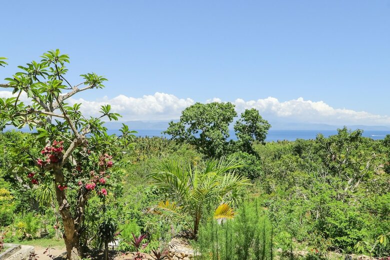 Hotel La Colina Bungalow