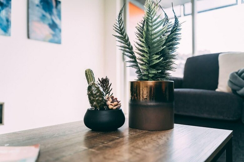 Apartamento The Grass Is Greener On North Tce-free Wifi