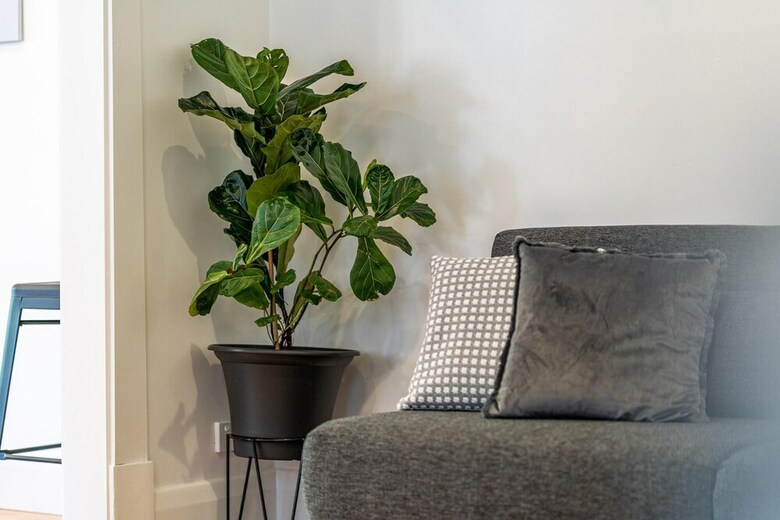 Gumnut Cottage - Close To Beach - Wifi - Netflix