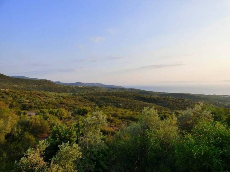 Apartamentos Sea View Studio With Garden 7min To The Beach