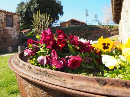 Agroturismo Mas Cal Sastre