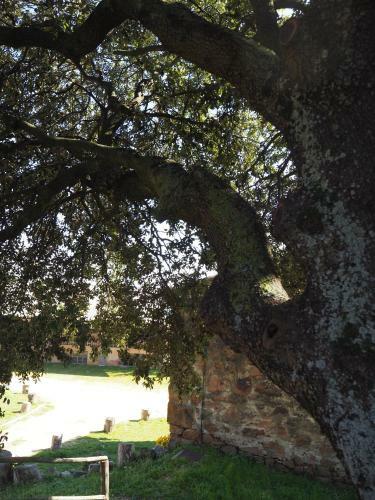 Agroturismo Mas Cal Sastre