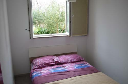 Apartments Ivana