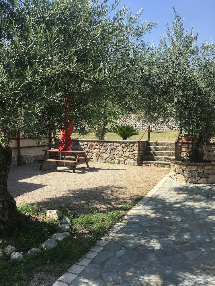 Bed & Breakfast L'ulivo
