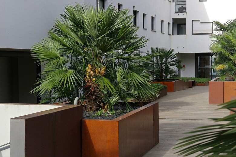 Apartamento Belfort