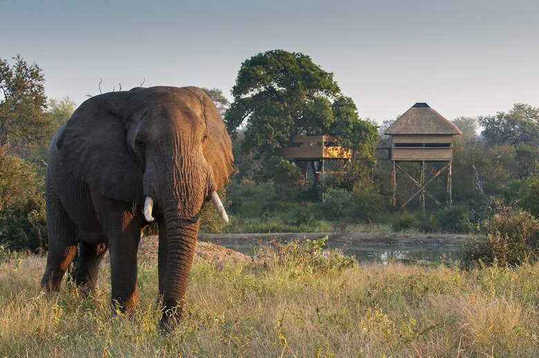 Posada Pondoro Game Lodge - All Inclusive