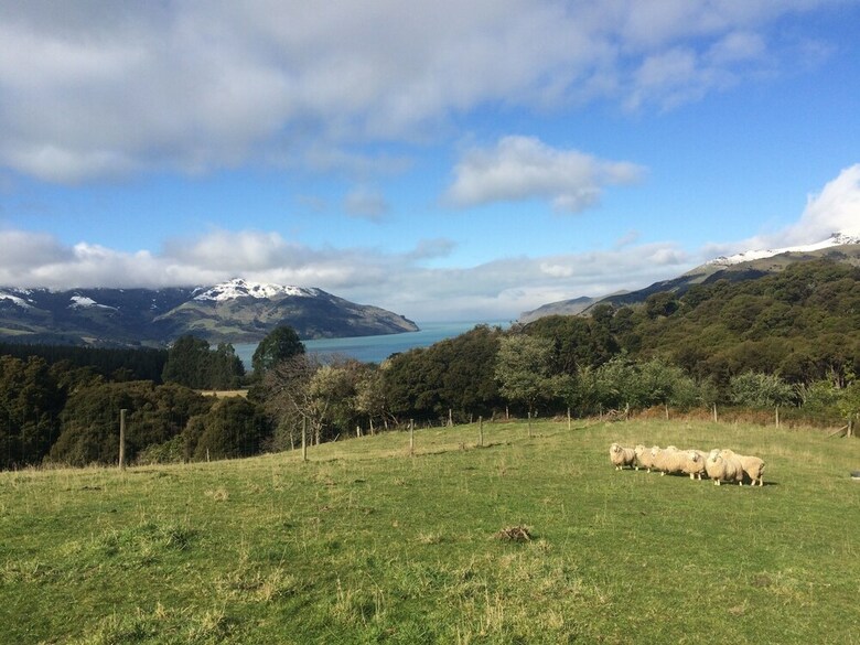 Kahikatea Retreat