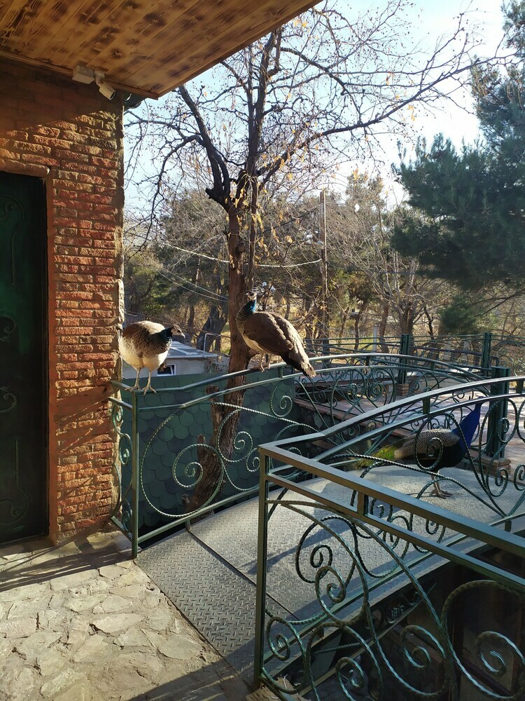 Hotisi Hotel