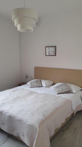 Apartments Renjak