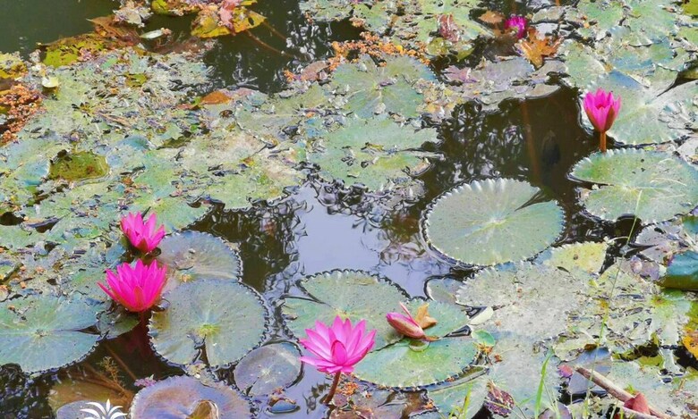 Hotel Baan Suan Wassana Buriram