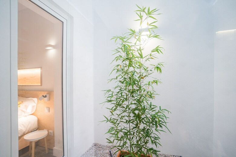 Wood Wall & Garden Apartment