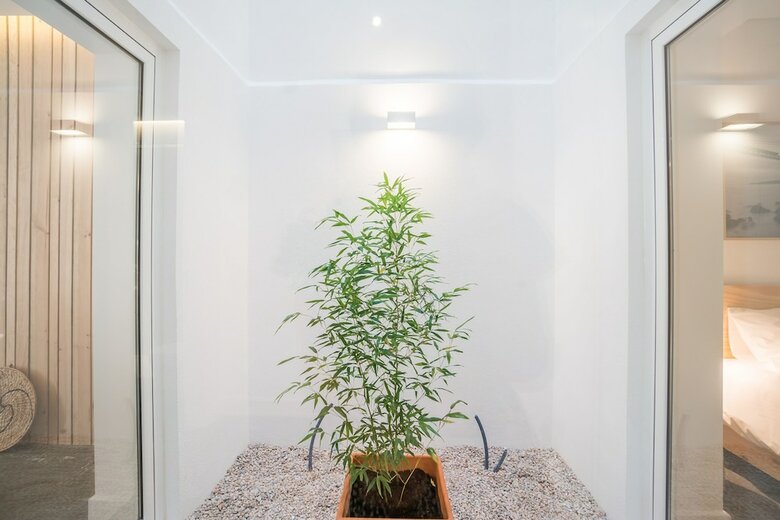 Lemon Tree Garden 3 Bedroom Apartment