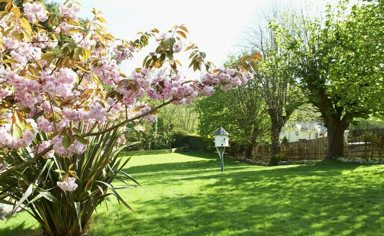 The Garden Apartment